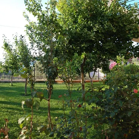 Hotel Anemos Studios Pefki Evia *